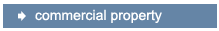 Commercial Property